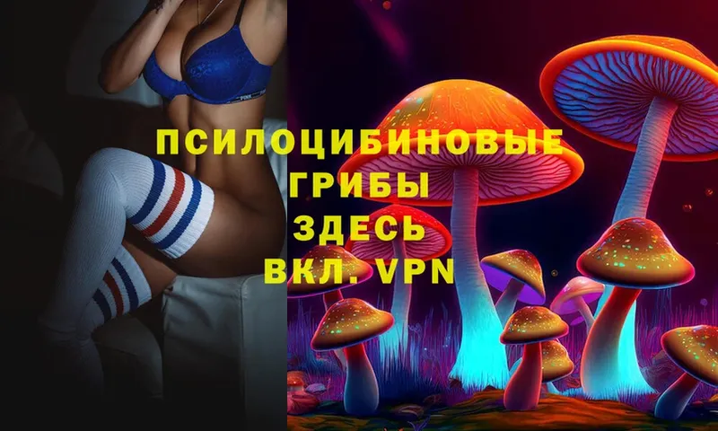 blacksprut tor  Добрянка  Галлюциногенные грибы MAGIC MUSHROOMS  дарнет шоп 