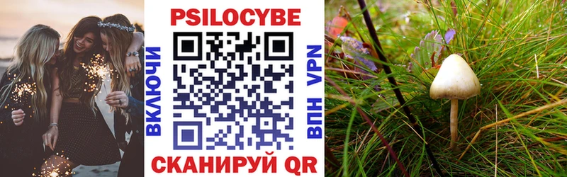 Галлюциногенные грибы MAGIC MUSHROOMS  закладки  Добрянка 