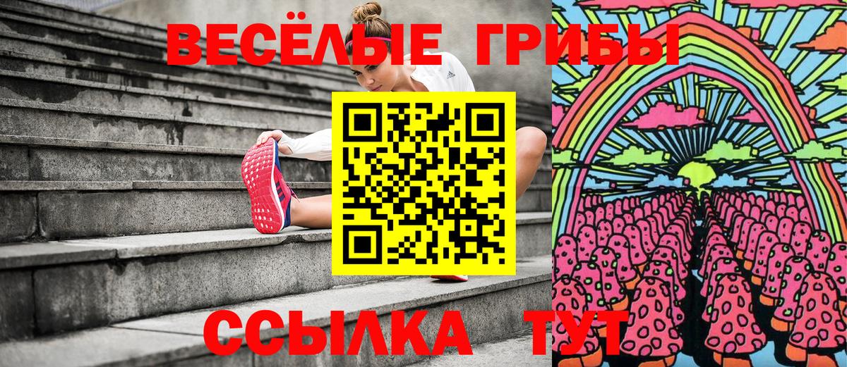 Псилоцибиновые грибы Cubensis Добрянка