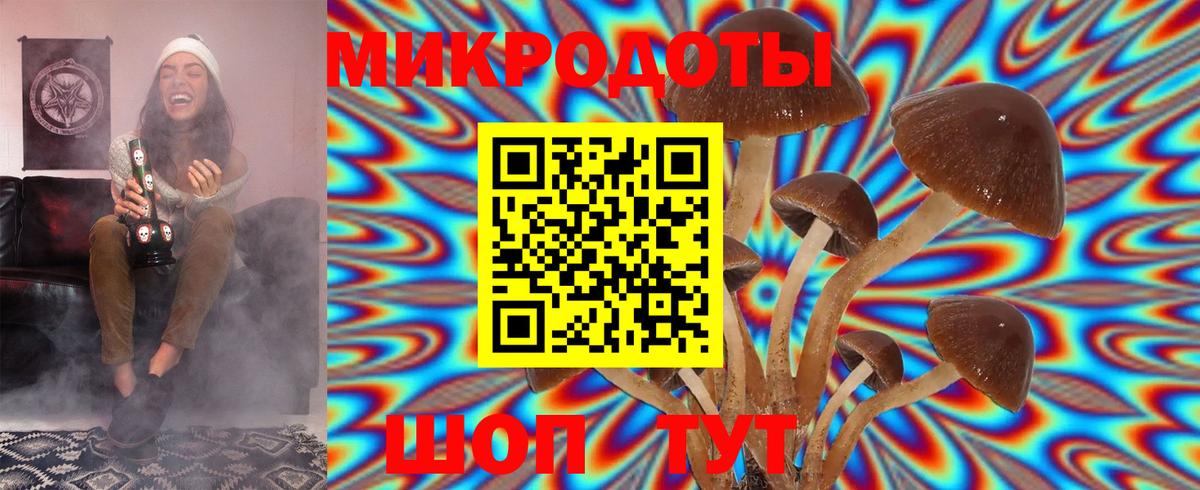 Галлюциногенные грибы прущие грибы  Добрянка 