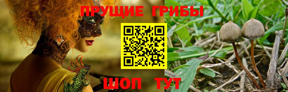 Галлюциногенные грибы прущие грибы  цены   Добрянка  Вход с VPN 